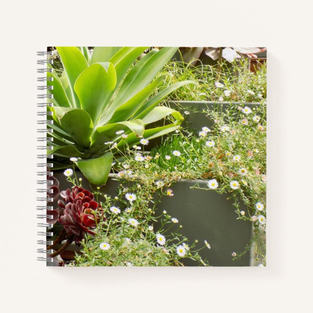 Planters Notebook (Front)