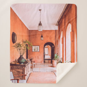 PLANTERS WITH PLANT NEAR AREA RUG INSIDE ROOM SHERPA BLANKET