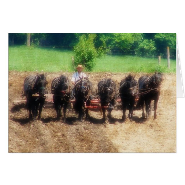 Planting Time (Front Horizontal)