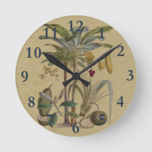 plAntique Tropical Palm Fruit Botanical Round Clock