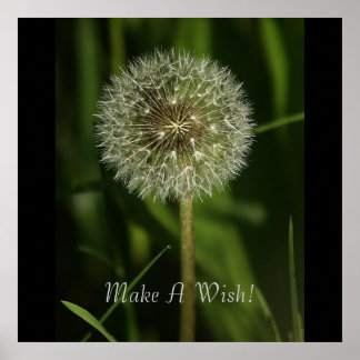 Plants and Water Imagery Poster