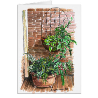 Plants in tubs