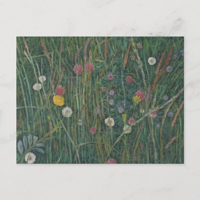 Plants of the Machair 2008 Postcard (Front)