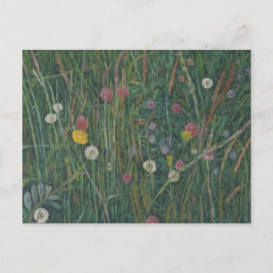 Plants of the Machair 2008 Postcard
