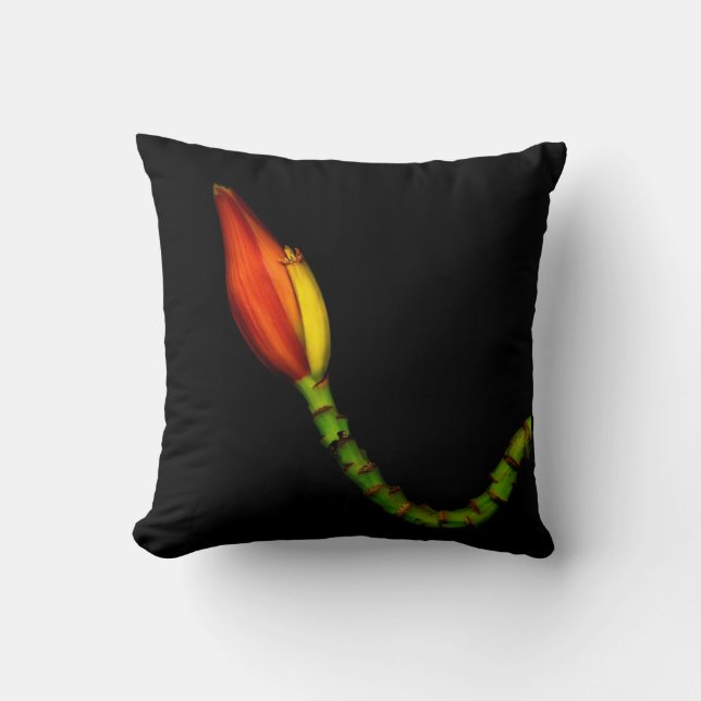 Plants on Pillows — Red Banana Flower (Front)