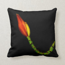 Plants on Pillows — Red Banana Flower