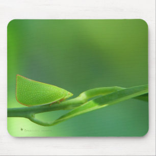 PlantWalker Mouse Mat