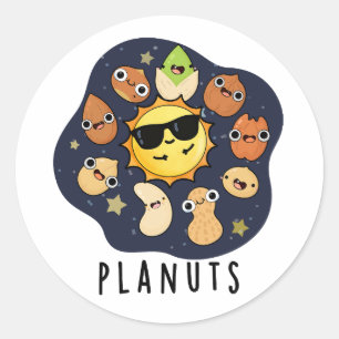 Planuts Funny Astronomy Nuts Pun  Classic Round Sticker