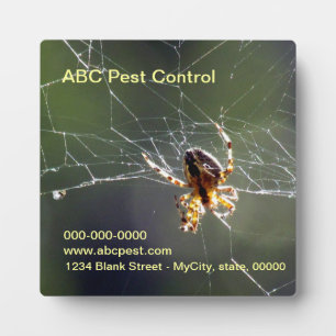 Plaque - Spider