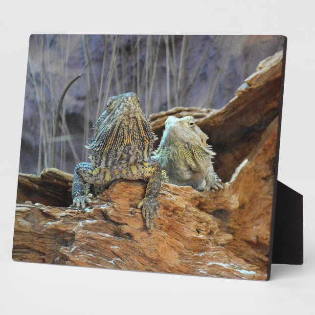 Plaque with two curious lizards (Side)