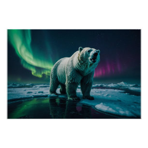 Plar Bear and Aurora Art Poster