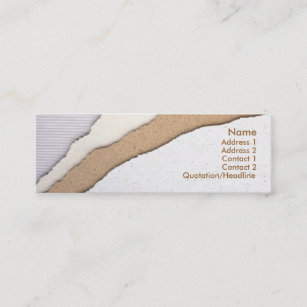 Plaster Coating Business Card