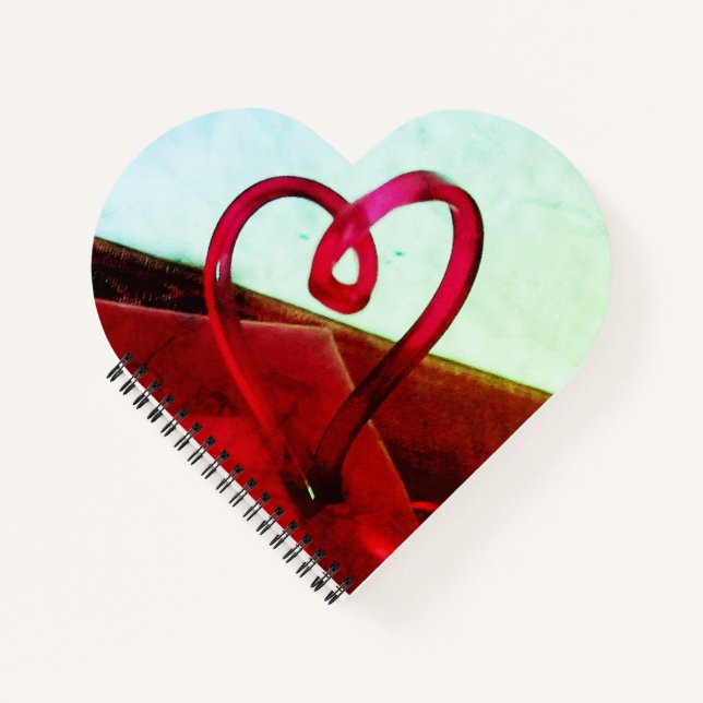 Plastic Heart    Notebook (Front)