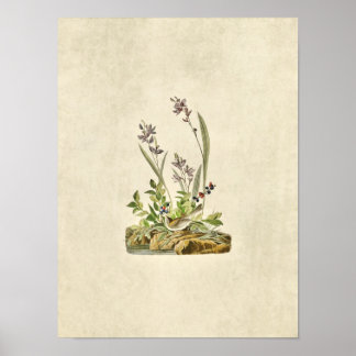 Plate 139 | Field Sparrow | Birds of America Poster