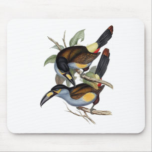 Plate-billed Mountain Toucan Mouse Mat