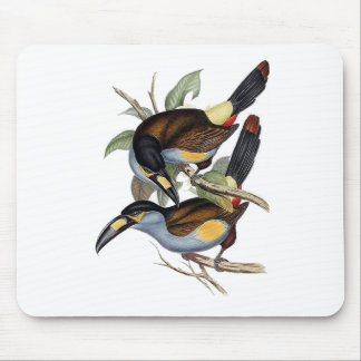 Plate-billed Mountain Toucan Mouse Mat