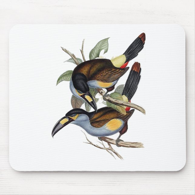 Plate-billed Mountain Toucan Mouse Mat (Front)
