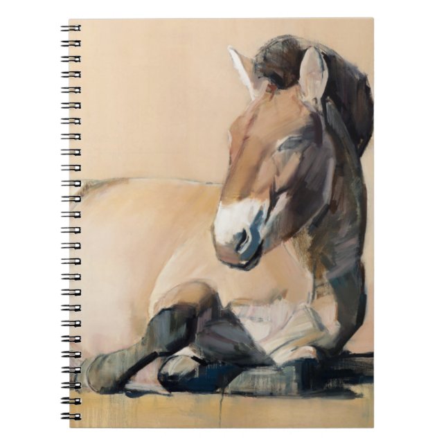 Plateau Sun Notebook (Front)