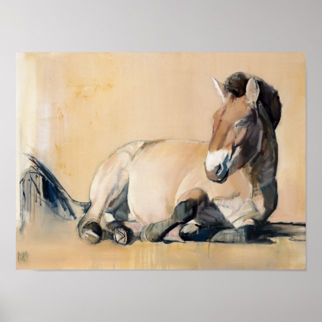 Plateau Sun Poster (Front)