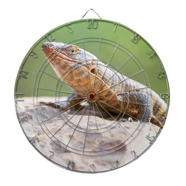 Plated Lizard Dartboard (Front)