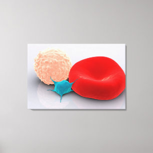 Platelet, Red And White Blood Cells Canvas Print