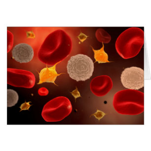 Platelets With Red Blood Cells 2