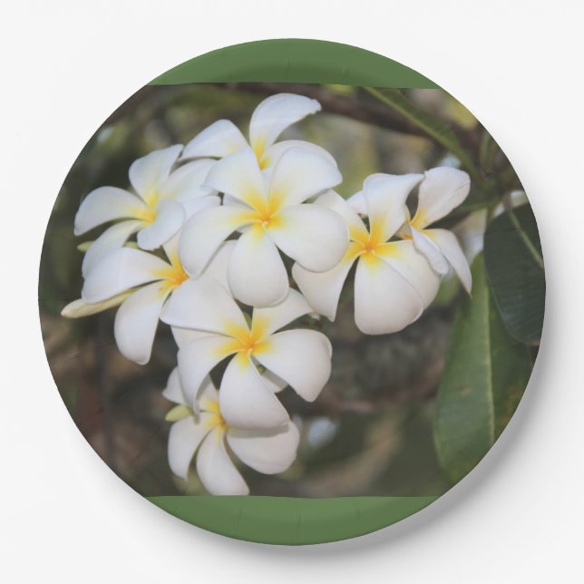 plates with tropical flowers, plumeria (Front)