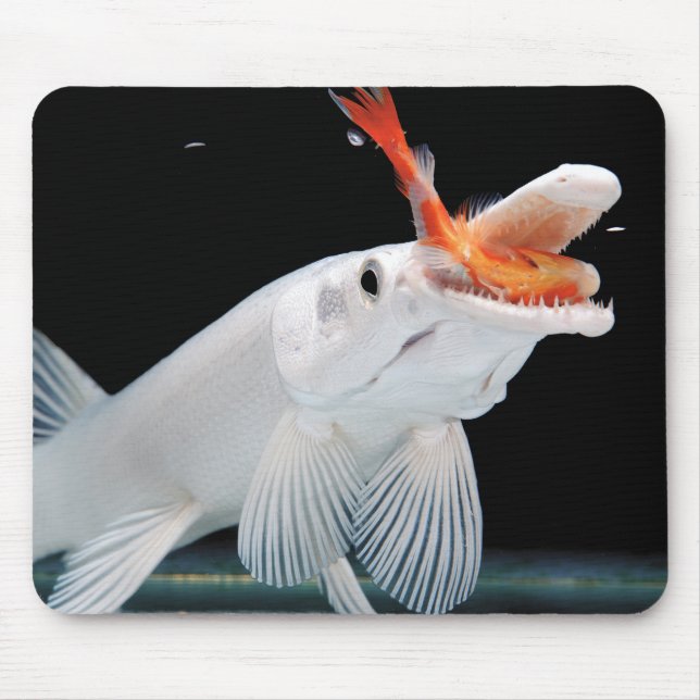 Platinum Alligator Gar Pike Mouse Mat (Front)