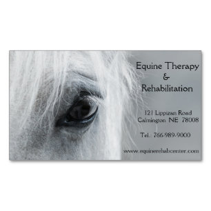 Platinum Horse Personalised Magnetic Business Card