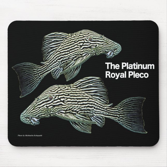 Platinum Royal Pleco Mouse Mat (Front)