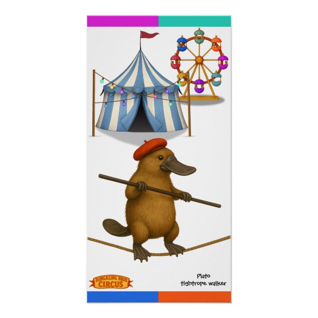 Plato platypus, tightrope walker poster (Front)