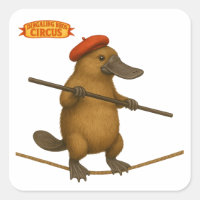Plato platypus tightrope walker