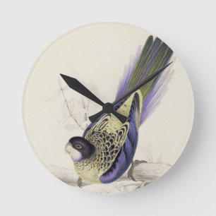 Platycercus Brownii, or Brown's Parrakeet (Plate 2 Round Clock