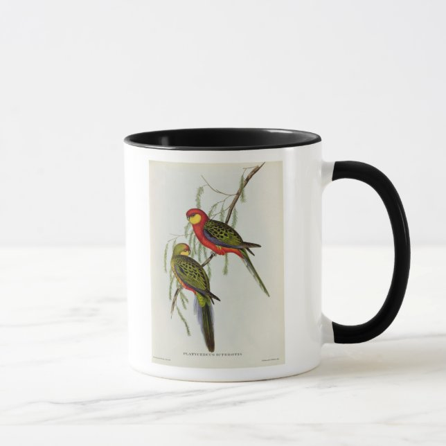 Platycercus Icterotis Mug (Right)