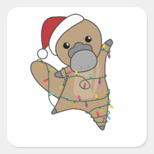 platypus Christmas Tabes Sweet Animals Square Sticker