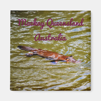 PLATYPUS EUNGELLA NATIONAL PARK AUSTRALIA MAGNET