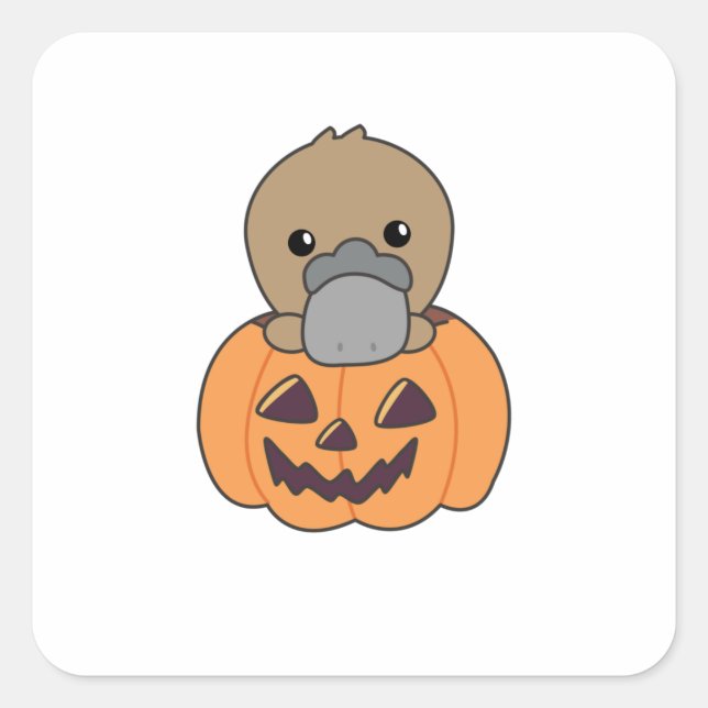 platypus In Pumpkin Sweet Animals Happy Halloween Square Sticker (Front)