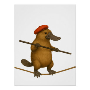 Platypus on a tightrope - add YOUR text. Poster