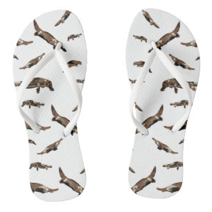 Platypus (Ornithorhynchus anatinus) Flip Flops
