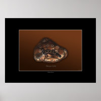 PLATYPUS PATHS Art Poster