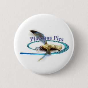 Platypus Pictures 6 Cm Round Badge