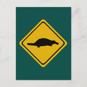 platypus road sign postcard