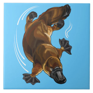 platypus tile