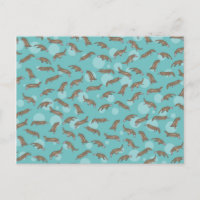 Platypuses Swimming