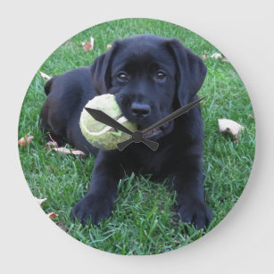Play Ball - Labrador Puppy - Black Lab Large Clock