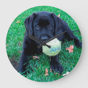 Play Ball - Labrador Puppy - Black Lab Large Clock