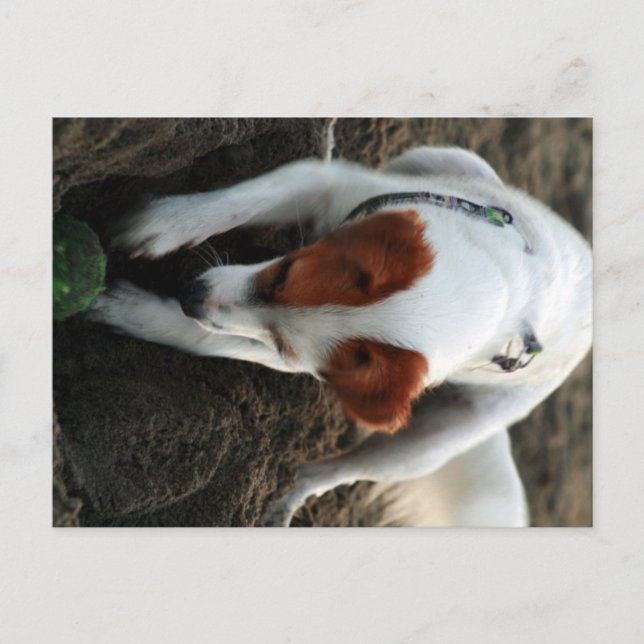 "Play Hard" Postcard (Front)