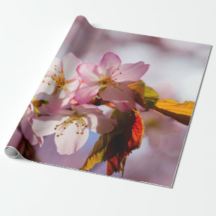 Play Of Light And Shadow On Sakura Petals Wrapping Paper