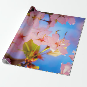 Play Of Light On Sakura Wrapping Paper