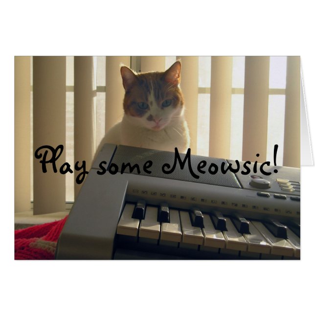 Play some Meowsic! (Front Horizontal)